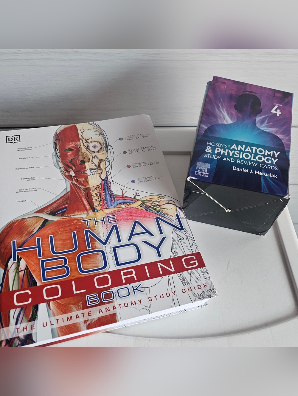 Mosby's Anatomy & Physiology The Human Body Coloring Book: The Ultimate Anatomy